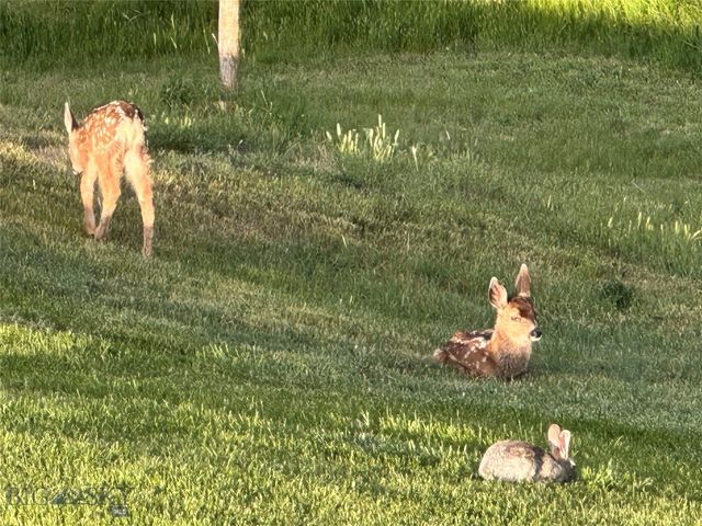 1006 Eagle Court, Livingston, MT 59047