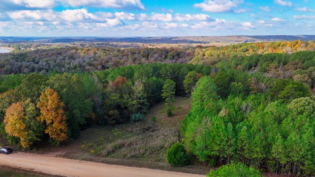 619 Bridge View Cv, Bath Springs, TN 38311