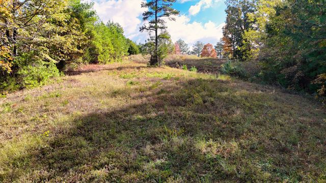 619 Bridge View Cv, Bath Springs, TN 38311