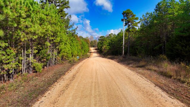 619 Bridge View Cv, Bath Springs, TN 38311