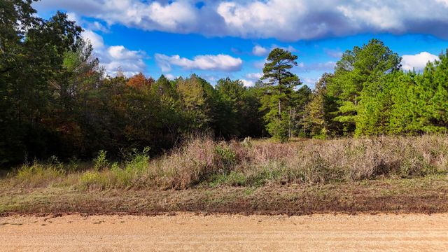 619 Bridge View Cv, Bath Springs, TN 38311