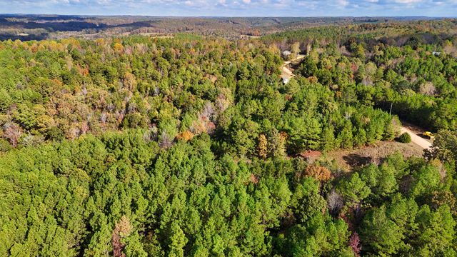 619 Bridge View Cv, Bath Springs, TN 38311