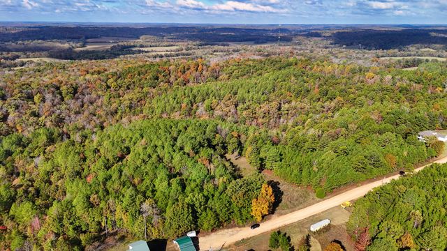 619 Bridge View Cv, Bath Springs, TN 38311