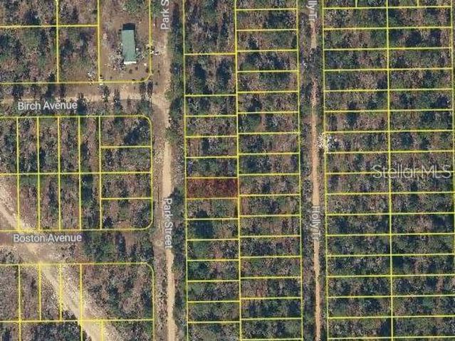 PARK STREET, Interlachen, FL 32148