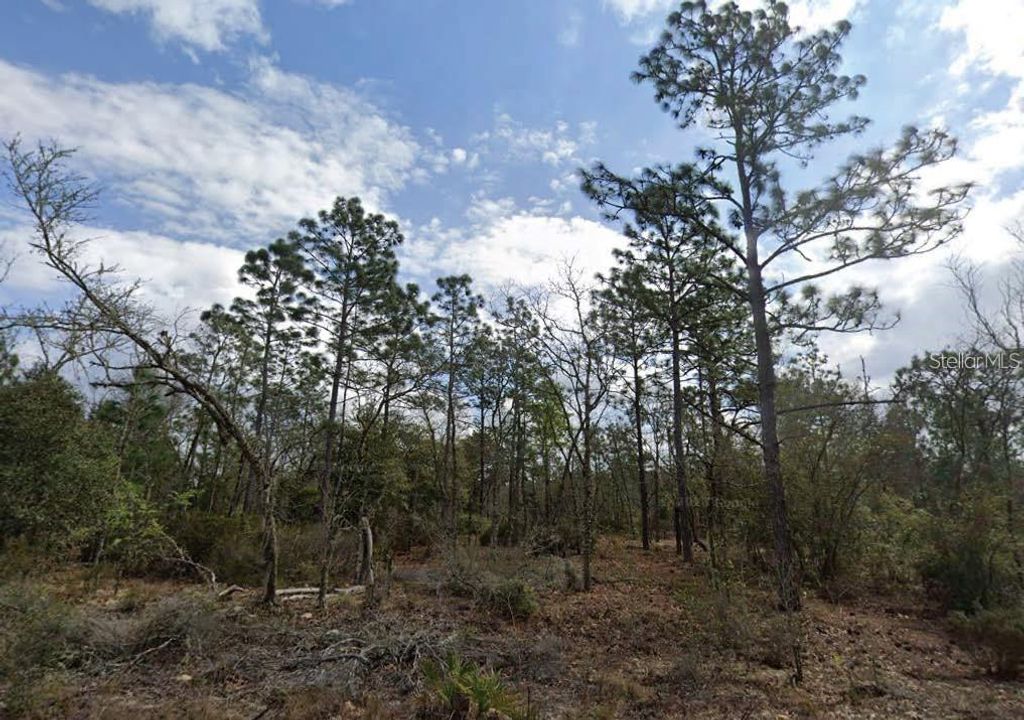 PARK STREET, Interlachen, FL 32148