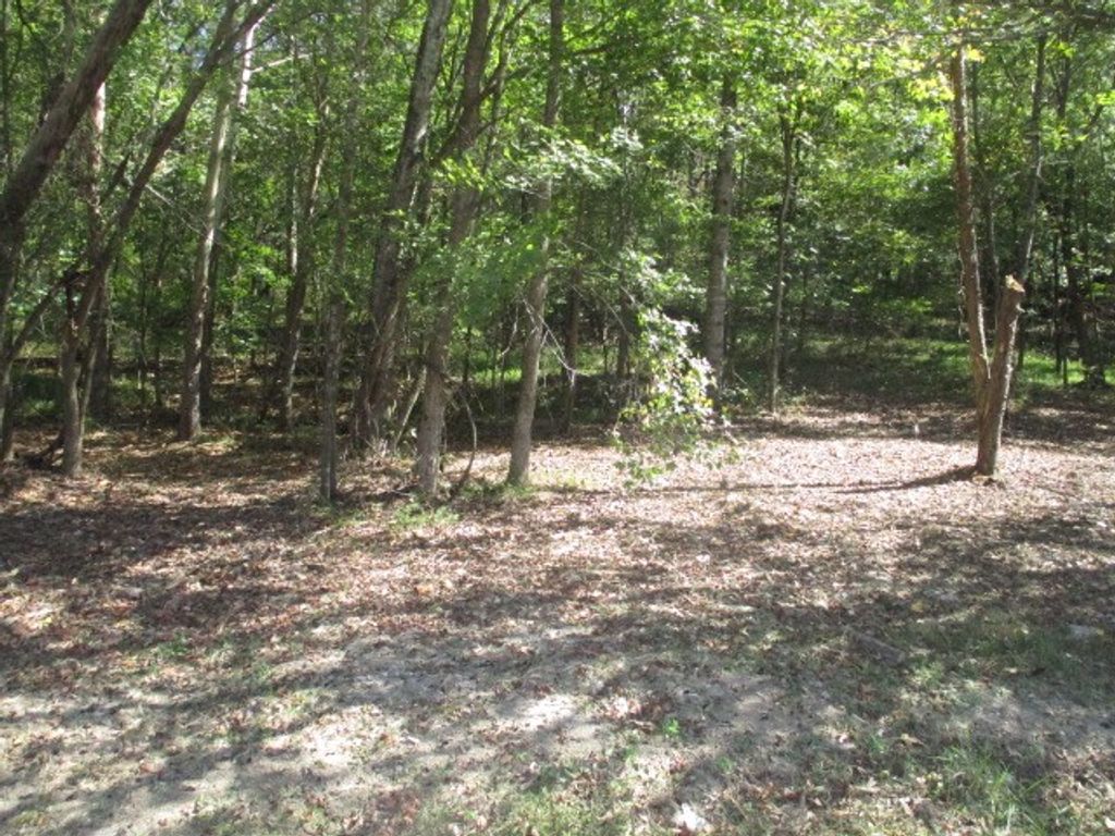 0 REESE ROAD, Bethpage, TN 37022