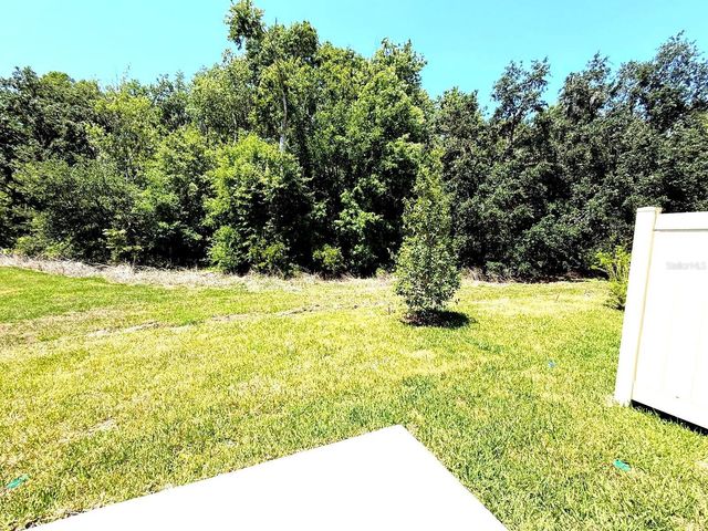 2081 HALLIER COVE, Wesley Chapel, FL 33543