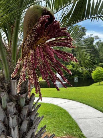14 S Point Ct, Bluffton, SC 29910