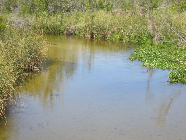TBD SE 18TH STREET, Silver Springs, FL 34488