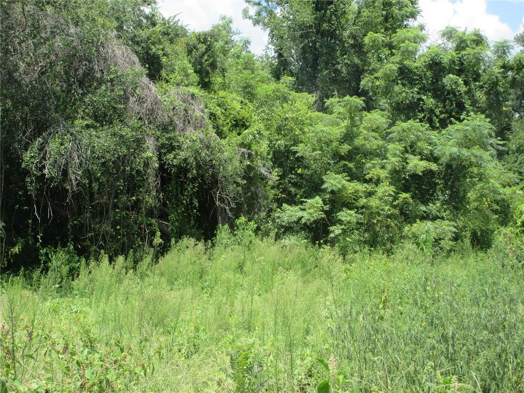 TBD SE 18TH STREET, Silver Springs, FL 34488