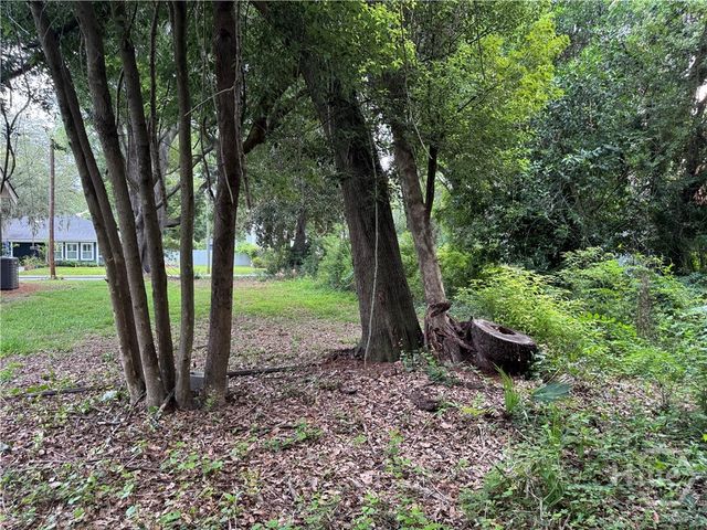 503 Durant Avenue, Savannah, GA 31404