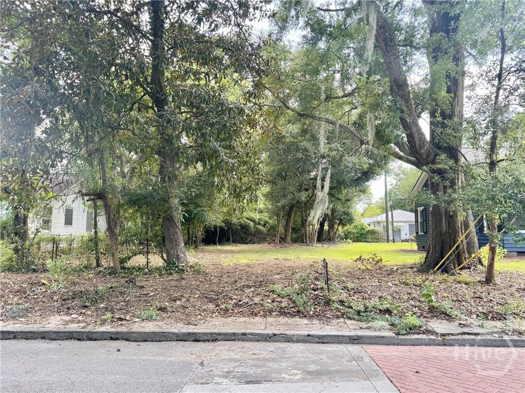 503 Durant Avenue, Savannah, GA 31404