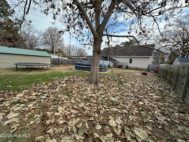 203 Garriss Street, Conway, NC 27820