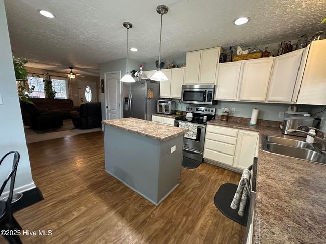 203 Garriss Street, Conway, NC 27820