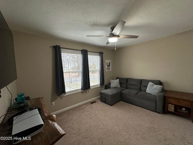 203 Garriss Street, Conway, NC 27820