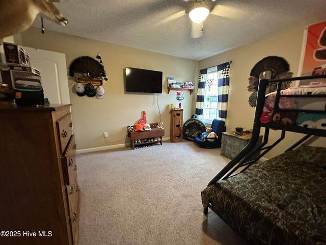 203 Garriss Street, Conway, NC 27820