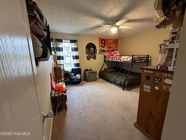 203 Garriss Street, Conway, NC 27820