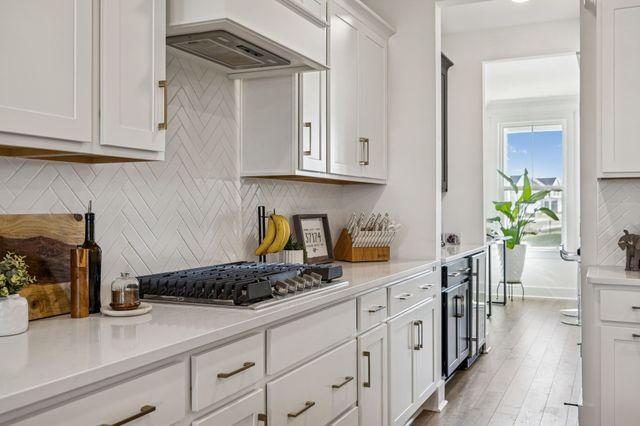 509 Wilkerson Pl, Spring Hill, TN 37174