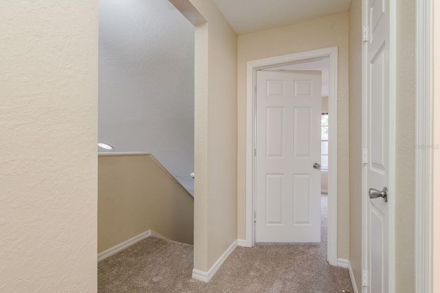 3521 KINGS ROAD 102, Palm Harbor, FL 34685