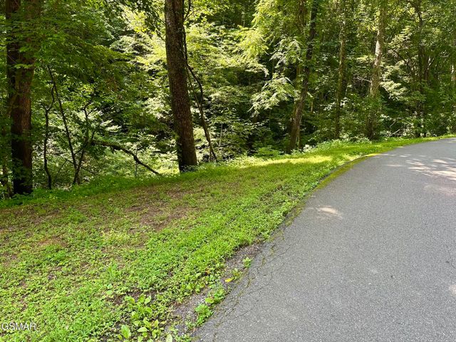 LOT 706A School House Gap Road, Sevierville, TN 37876