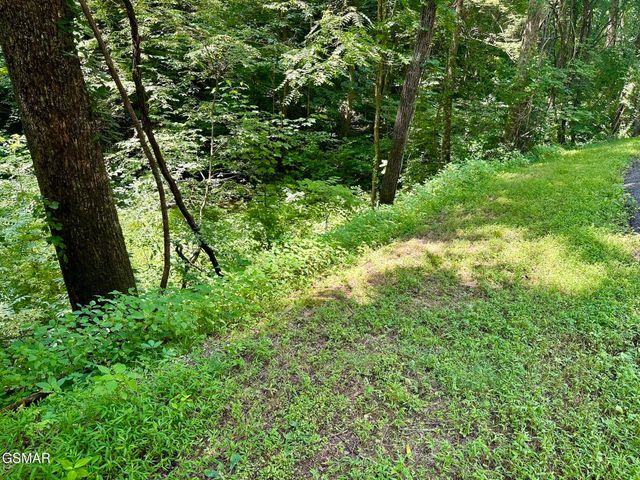 LOT 706A School House Gap Road, Sevierville, TN 37876
