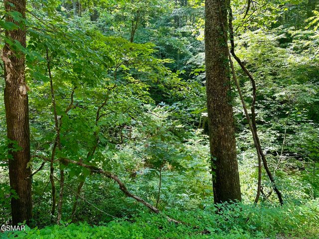 LOT 706A School House Gap Road, Sevierville, TN 37876