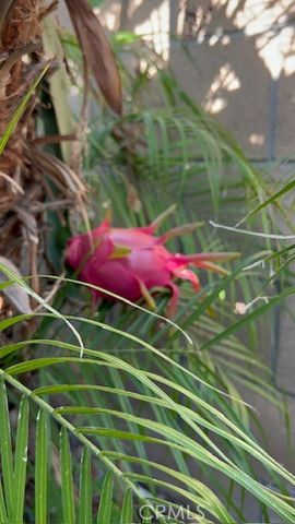 1455 Cresta, Corona, CA 92879