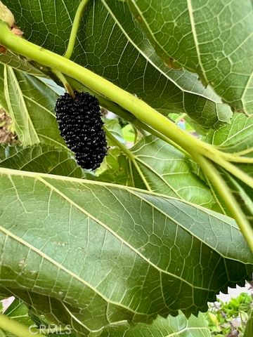 1455 Cresta, Corona, CA 92879