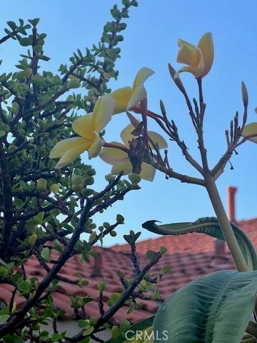 1455 Cresta, Corona, CA 92879