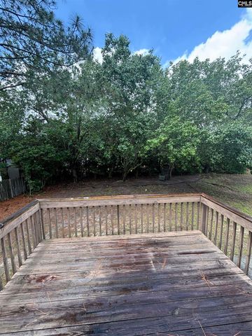 209 Cherry Stone Drive, Columbia, SC 29229