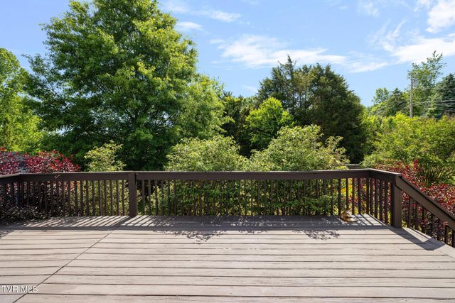 3101 Newbern Drive, Johnson City, TN 37604