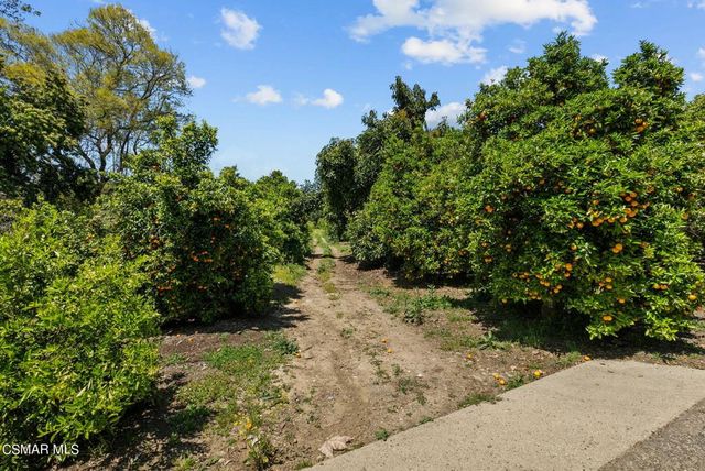 5682 Pine Grove Road, Santa Paula, CA 93060