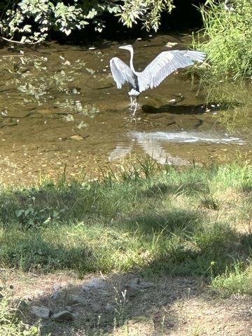 3440 Forni Rd, Placerville, CA 95667