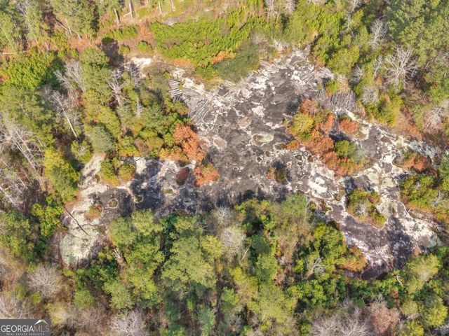 481 Turner Road, Concord, GA 30206