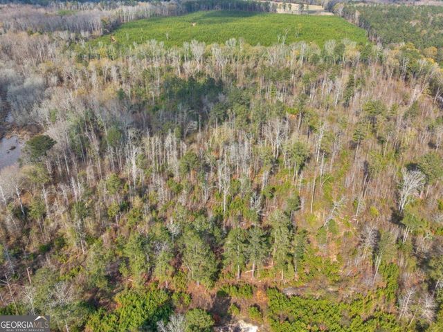 481 Turner Road, Concord, GA 30206