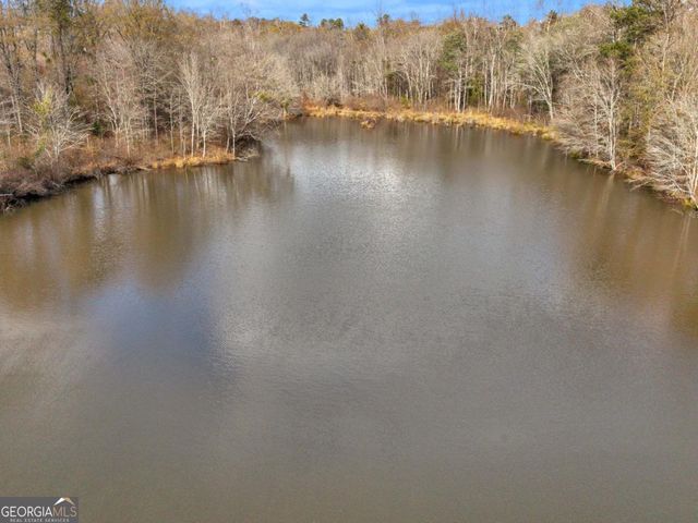 481 Turner Road, Concord, GA 30206