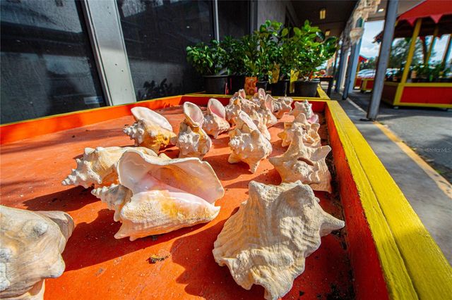 13305 NE 30TH COURT, Anthony, FL 32617