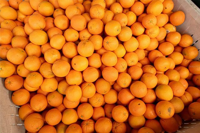 13305 NE 30TH COURT, Anthony, FL 32617