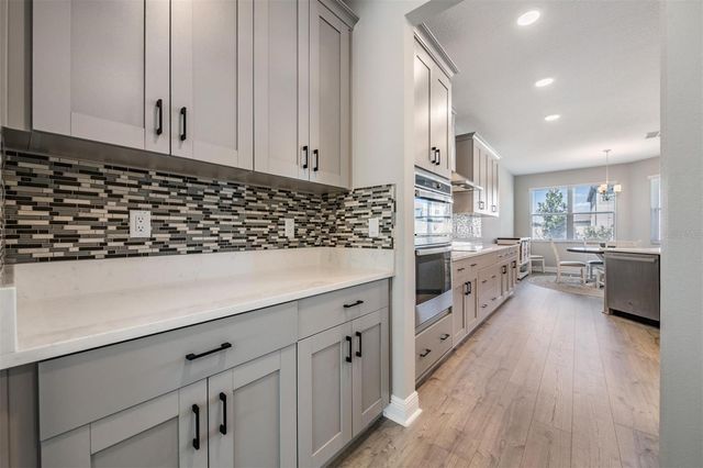 33115 SYCAMORE LEAF DRIVE, Wesley Chapel, FL 33545