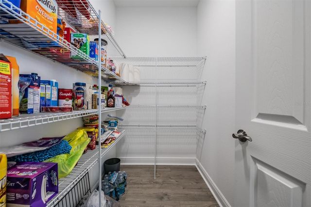 33115 SYCAMORE LEAF DRIVE, Wesley Chapel, FL 33545