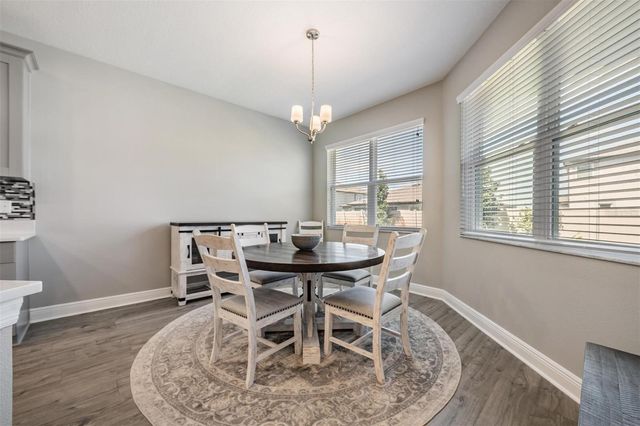 33115 SYCAMORE LEAF DRIVE, Wesley Chapel, FL 33545