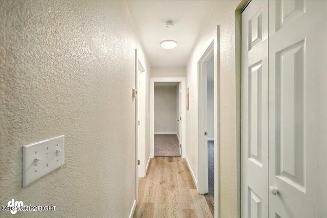 2411 N Friar Tuck Court, Big Lake, AK 99623