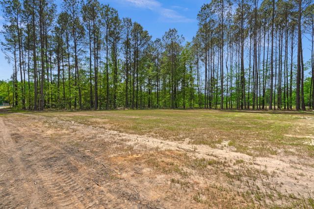 184 Gaines Circle, Cottageville, SC 29435