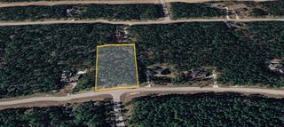 47 Brahman Ln, New Waverly, TX 77358