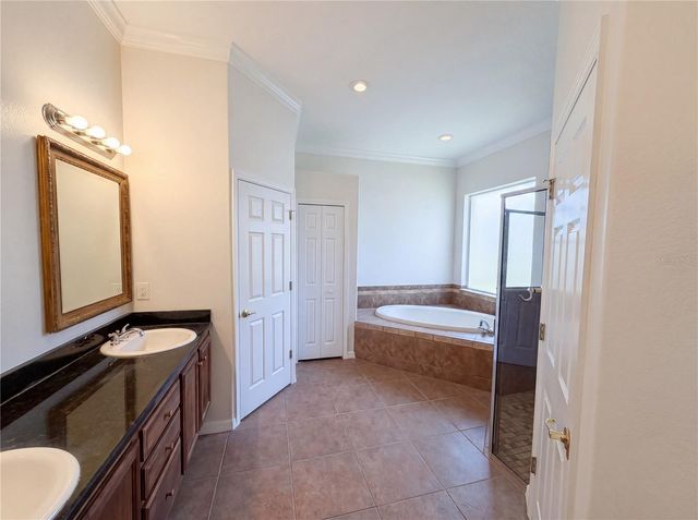 10408 LAGO LOUISA COURT, Clermont, FL 34711