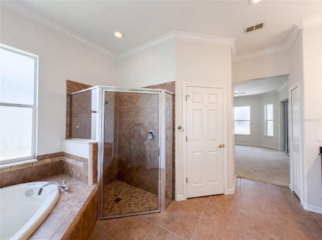10408 LAGO LOUISA COURT, Clermont, FL 34711