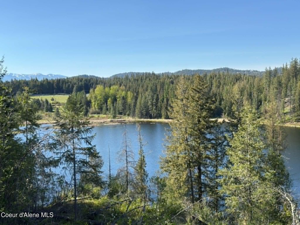 90 Shawnee PATH, Sagle, ID 83860 photo 4
