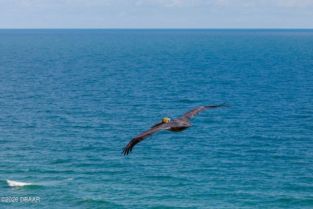 2555 S Atlantic Ave Apt 1903, Daytona Beach Shores, FL 32118