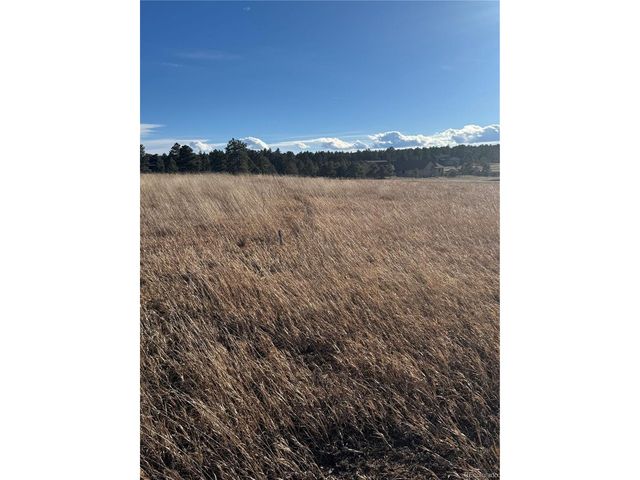 11691 Rambling Rd, Colorado Springs, CO 80908