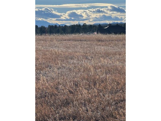 11691 Rambling Rd, Colorado Springs, CO 80908